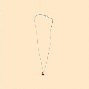 Sterling Silver Chain with Ladybug pendant